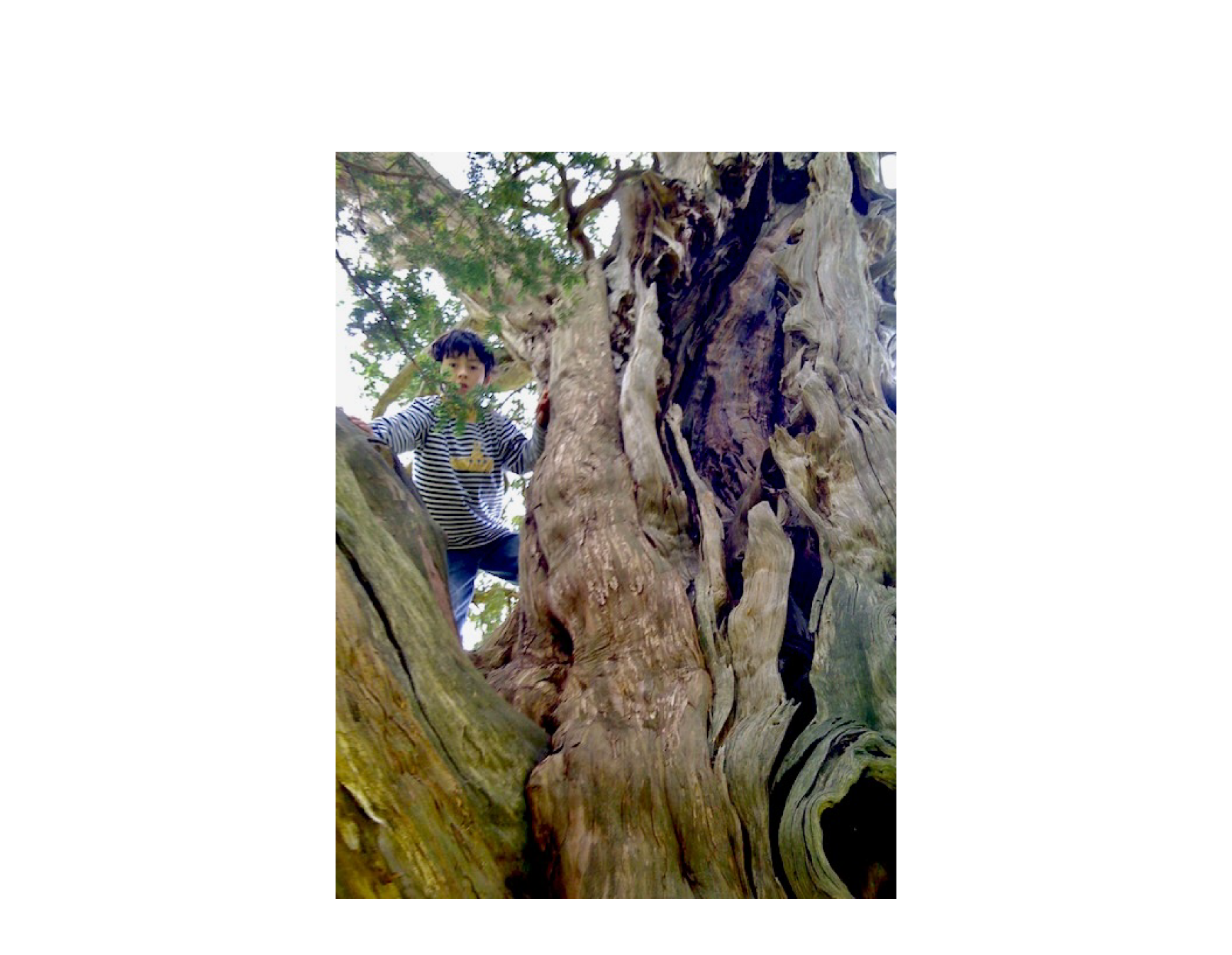 Another Point of View