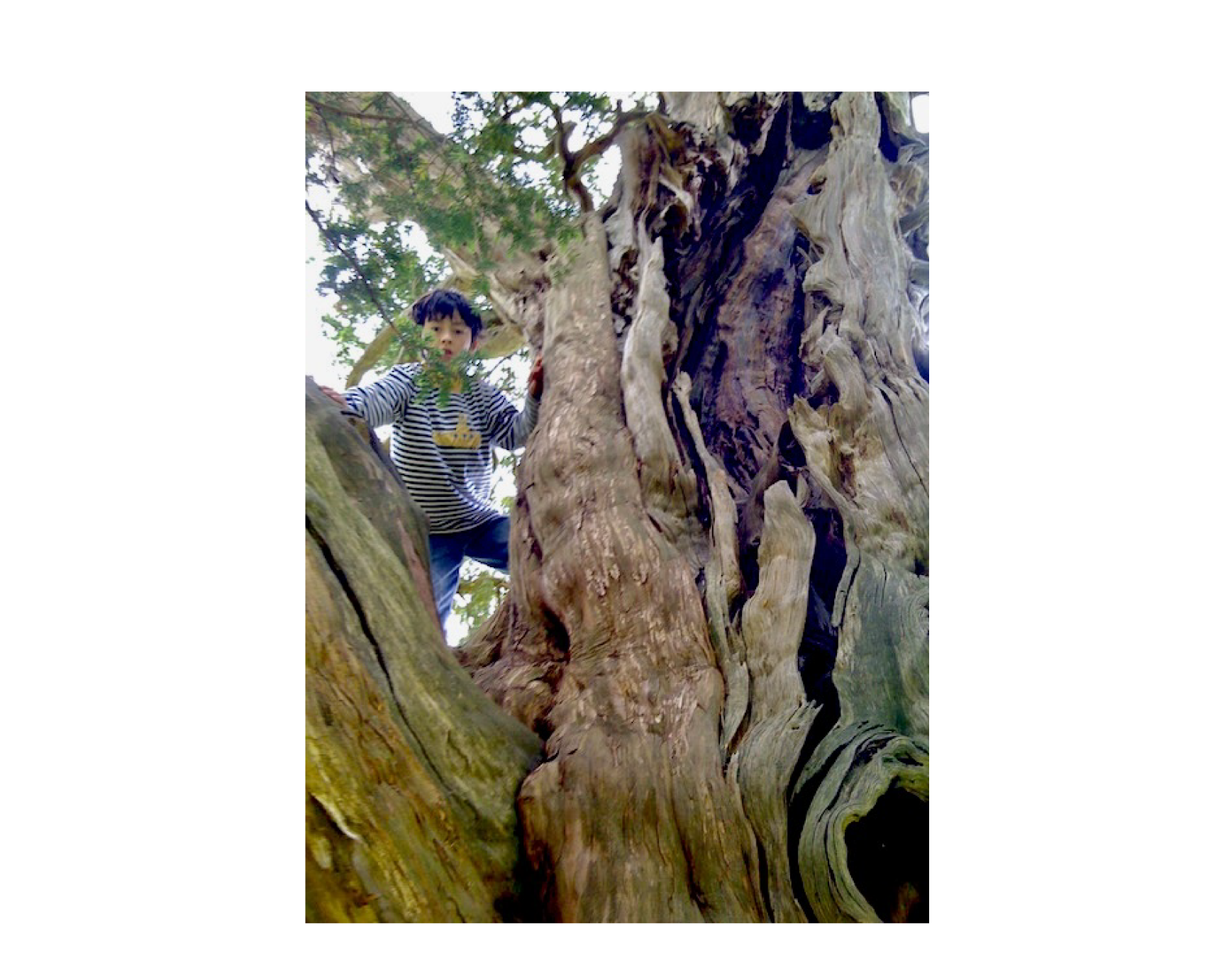 Another Point of View