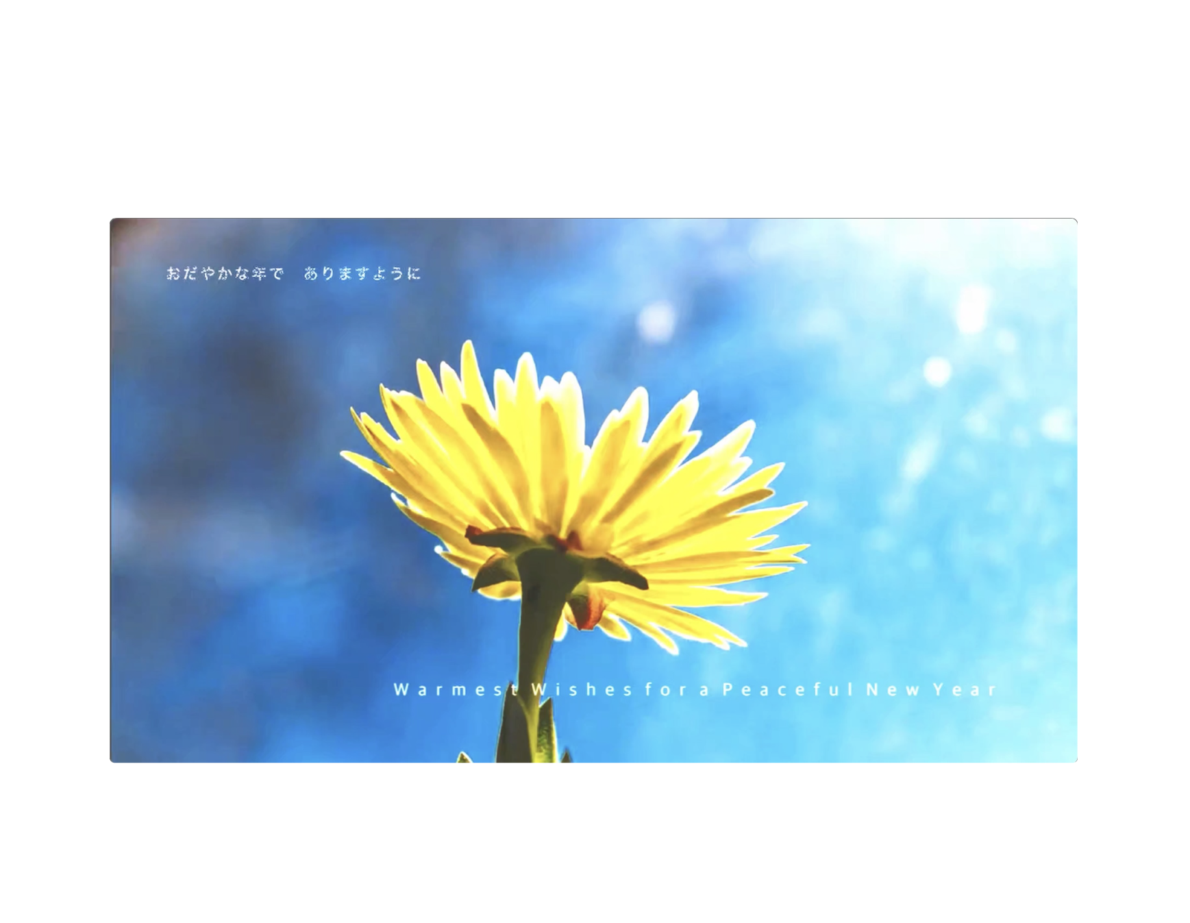 Light Resonance — New Year